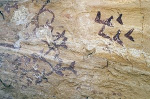 Los Sigreros洞穴，靠近Velez Blanco，安达卢西亚，公元前4000年，洞穴绘画的鸟类 作者 不明